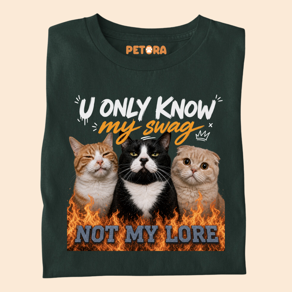 You Only Know my Swag Not my Lore Meme T Shirt