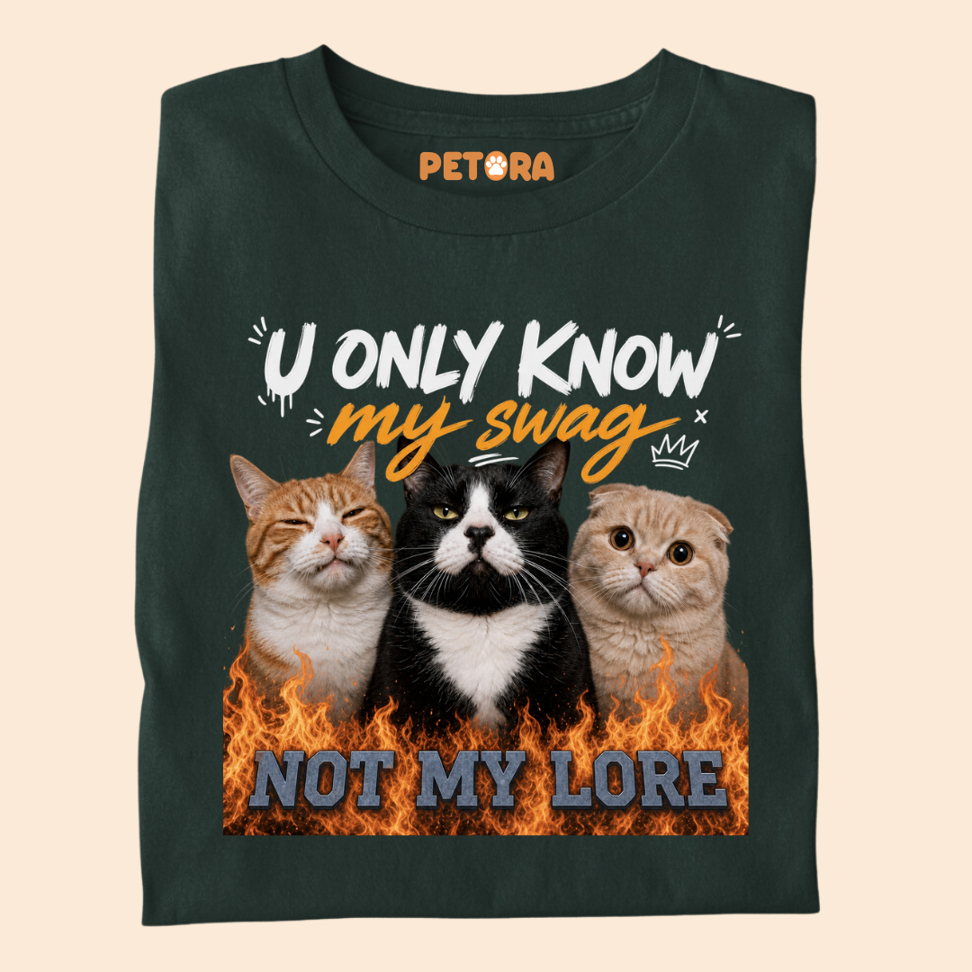 You Only Know my Swag Not my Lore Meme T Shirt