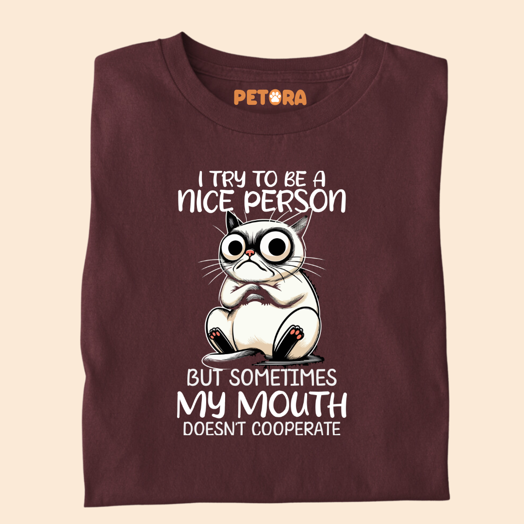 I Try to be a Nice Person Meme T Shirt