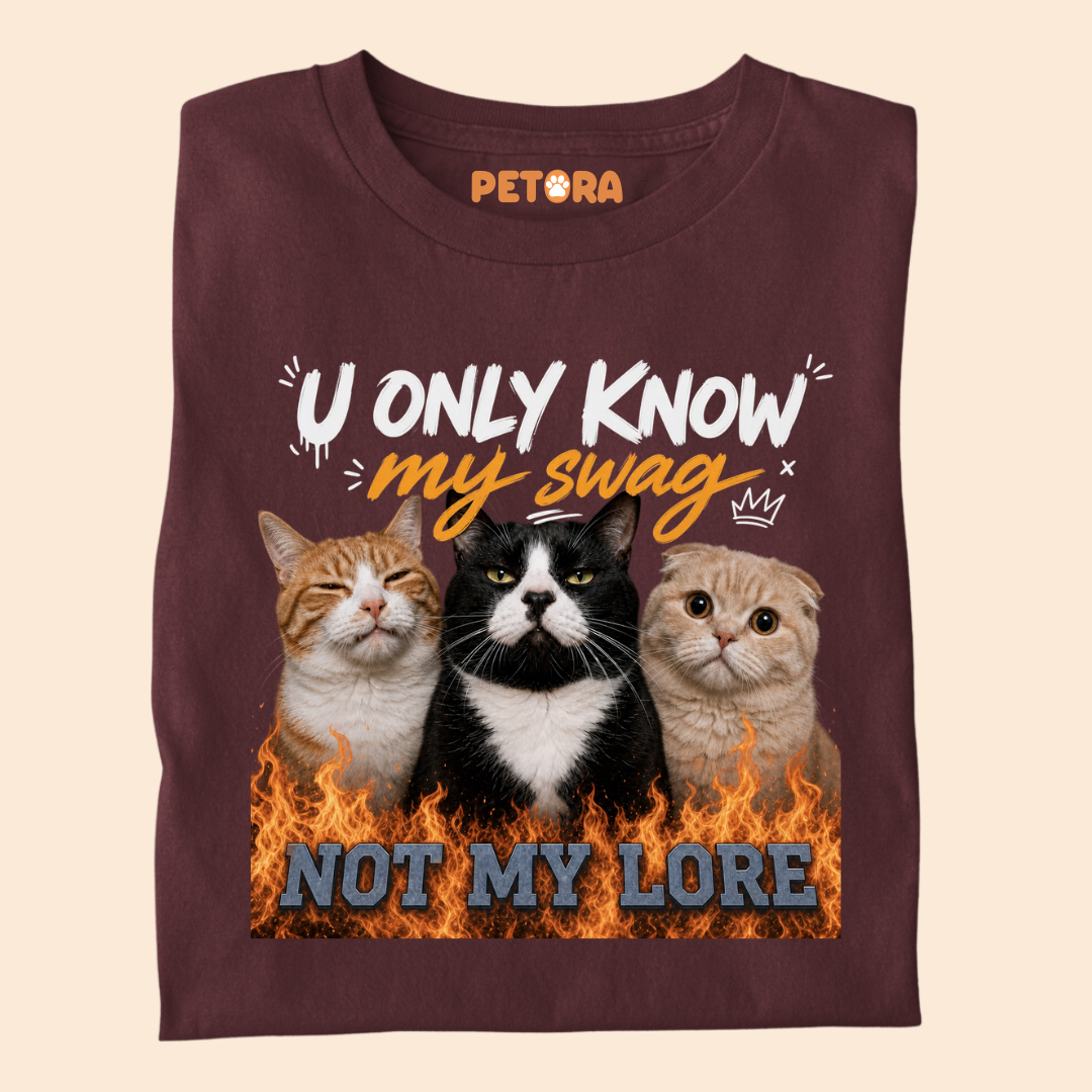 You Only Know my Swag Not my Lore Meme T Shirt