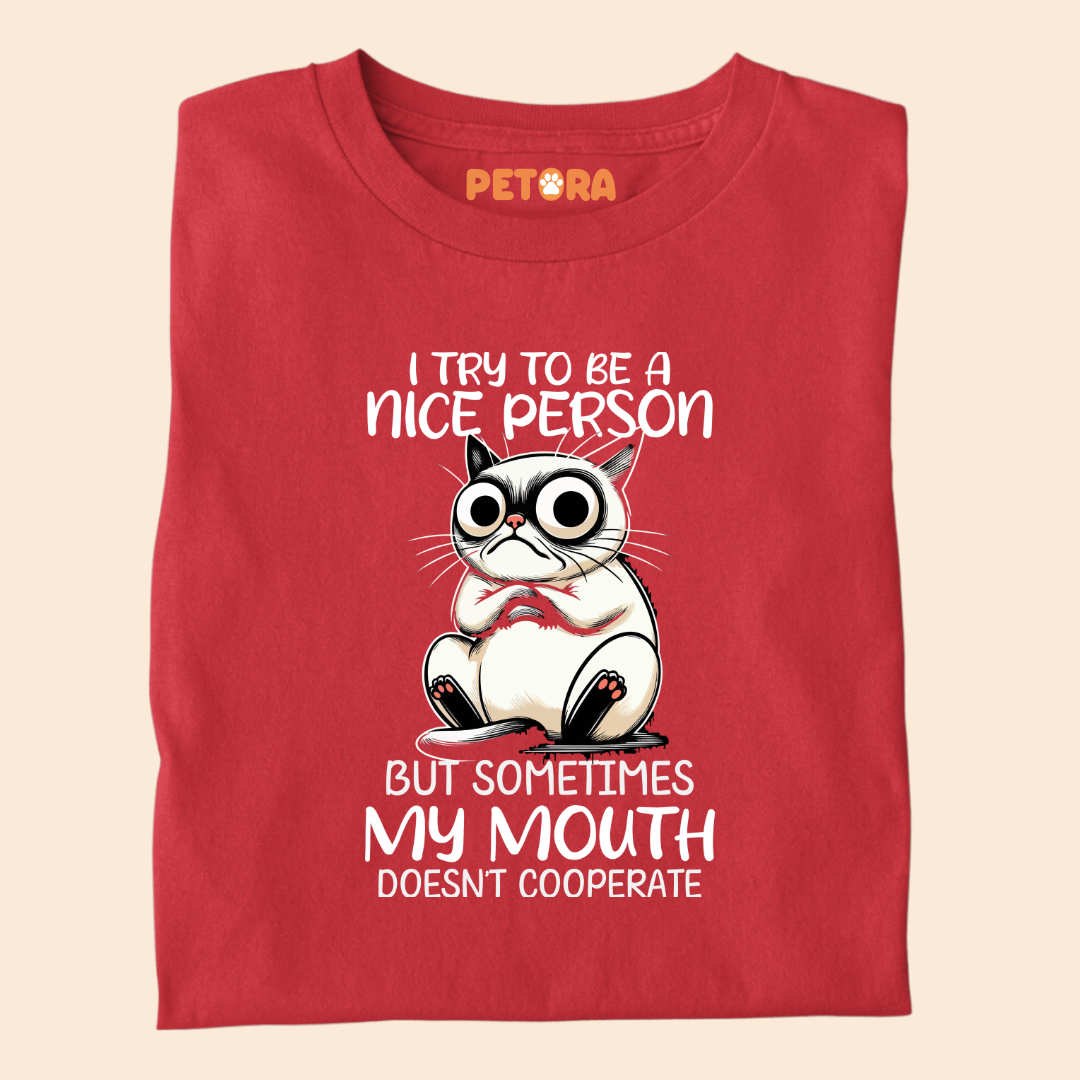 I Try to be a Nice Person Meme T Shirt