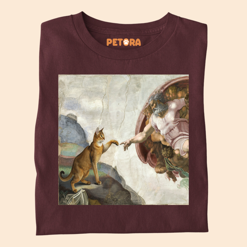 The Creation of Cat T-Shirt – Funny Renaissance Michelangelo Fine Art Parody Tee