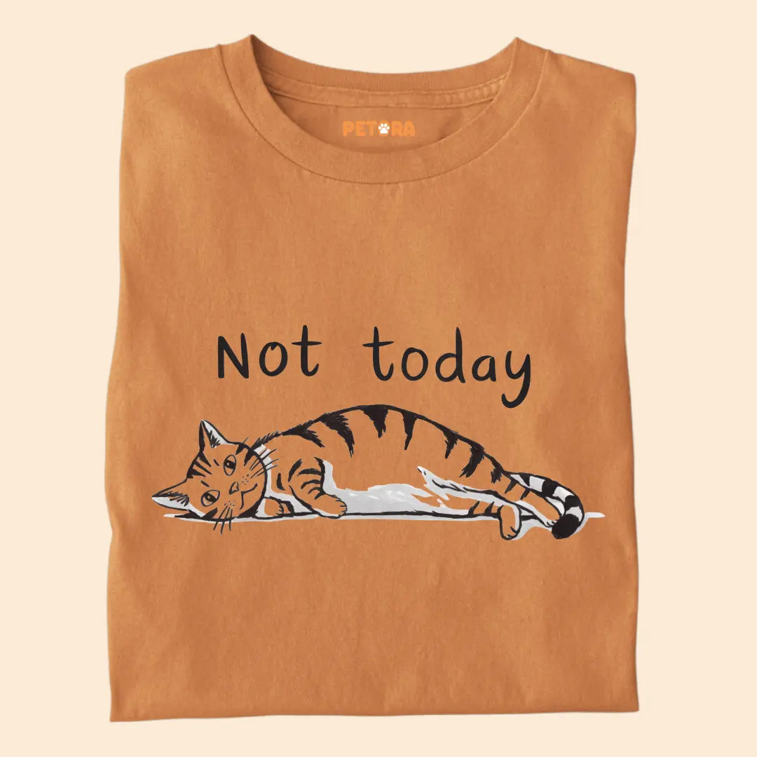 Not Today - Lazy Cat - Premium Unisex T-shirt for Pet Lovers