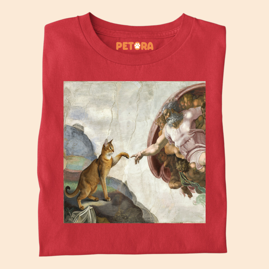The Creation of Cat T-Shirt – Funny Renaissance Michelangelo Fine Art Parody Tee
