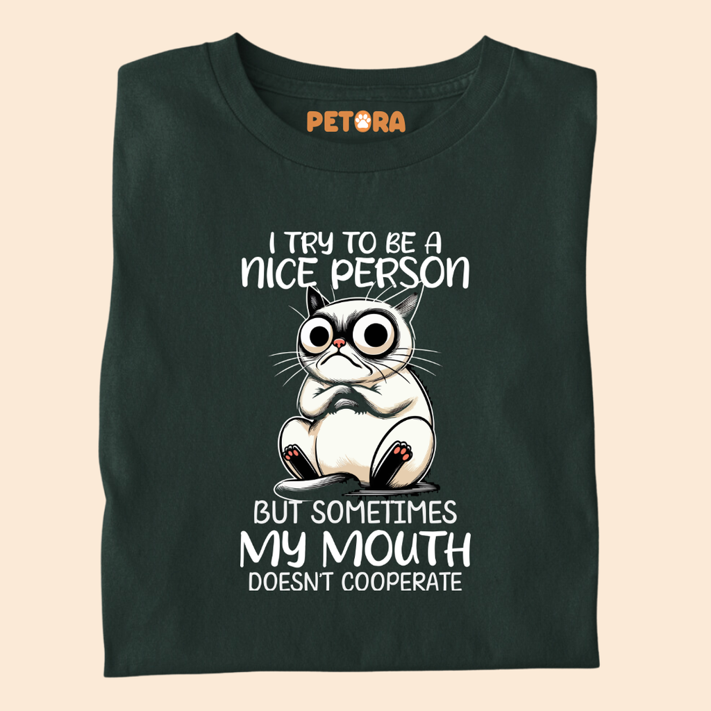 I Try to be a Nice Person Meme T Shirt