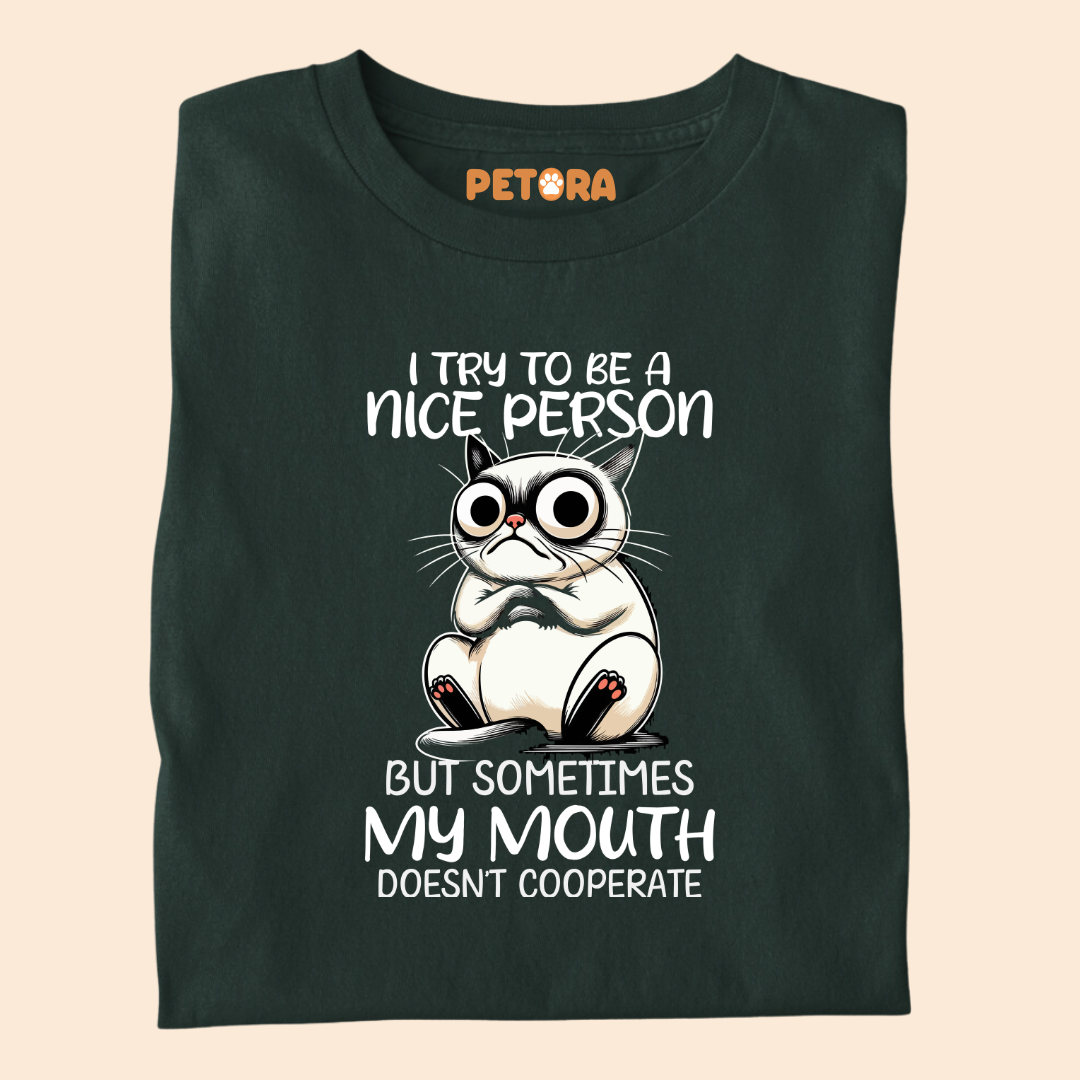 I Try to be a Nice Person Meme T Shirt