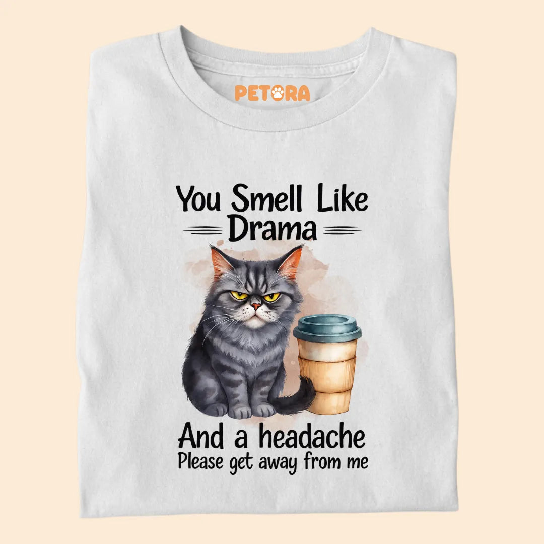You Smell Like Drama and a Headache Premium T-shirt