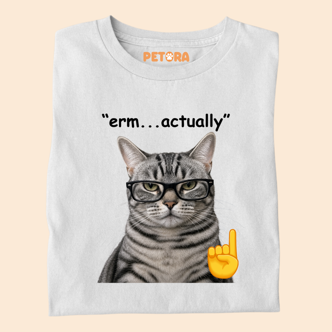 Erm Actually Funny Nerd Glasses Cat T-Shirt