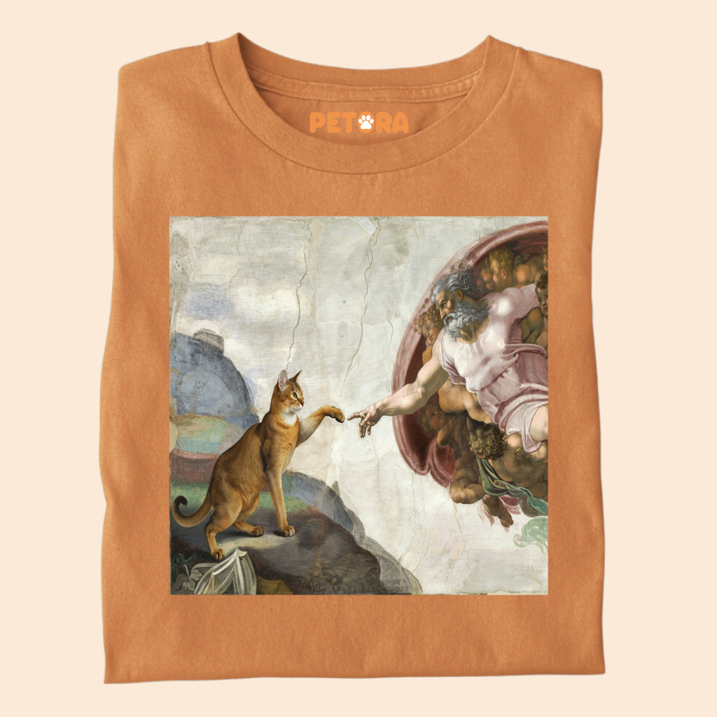 The Creation of Cat T-Shirt – Funny Renaissance Michelangelo Fine Art Parody Tee