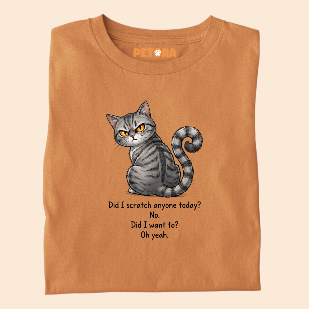 Did I Scratch Anyone Today Cat T-Shirt