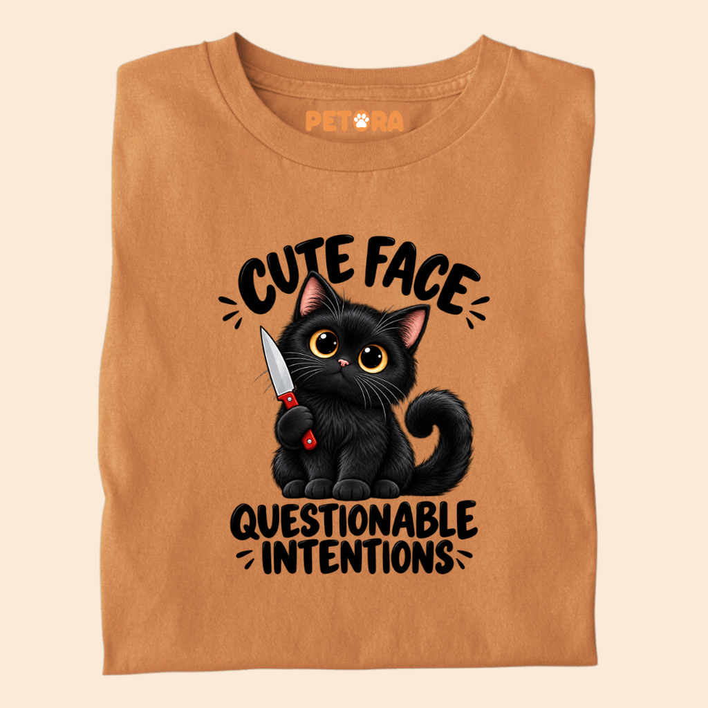 Cute Face Questionable Intentions Funny Black Cat T-Shirt