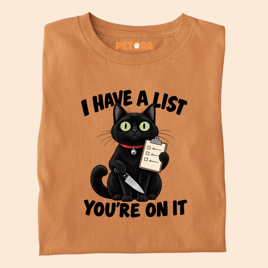 I Have A List You're On It Funny Black Cat T-Shirt