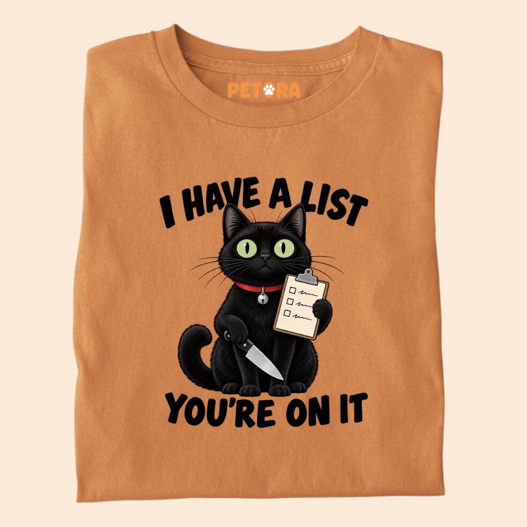 I Have A List You're On It Funny Black Cat T-Shirt