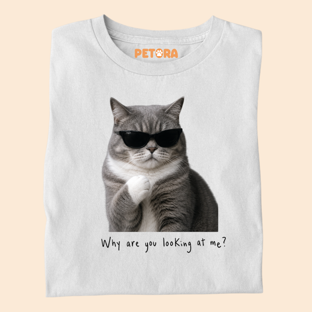 Why are you looking at me? Cat Meme T Shirt