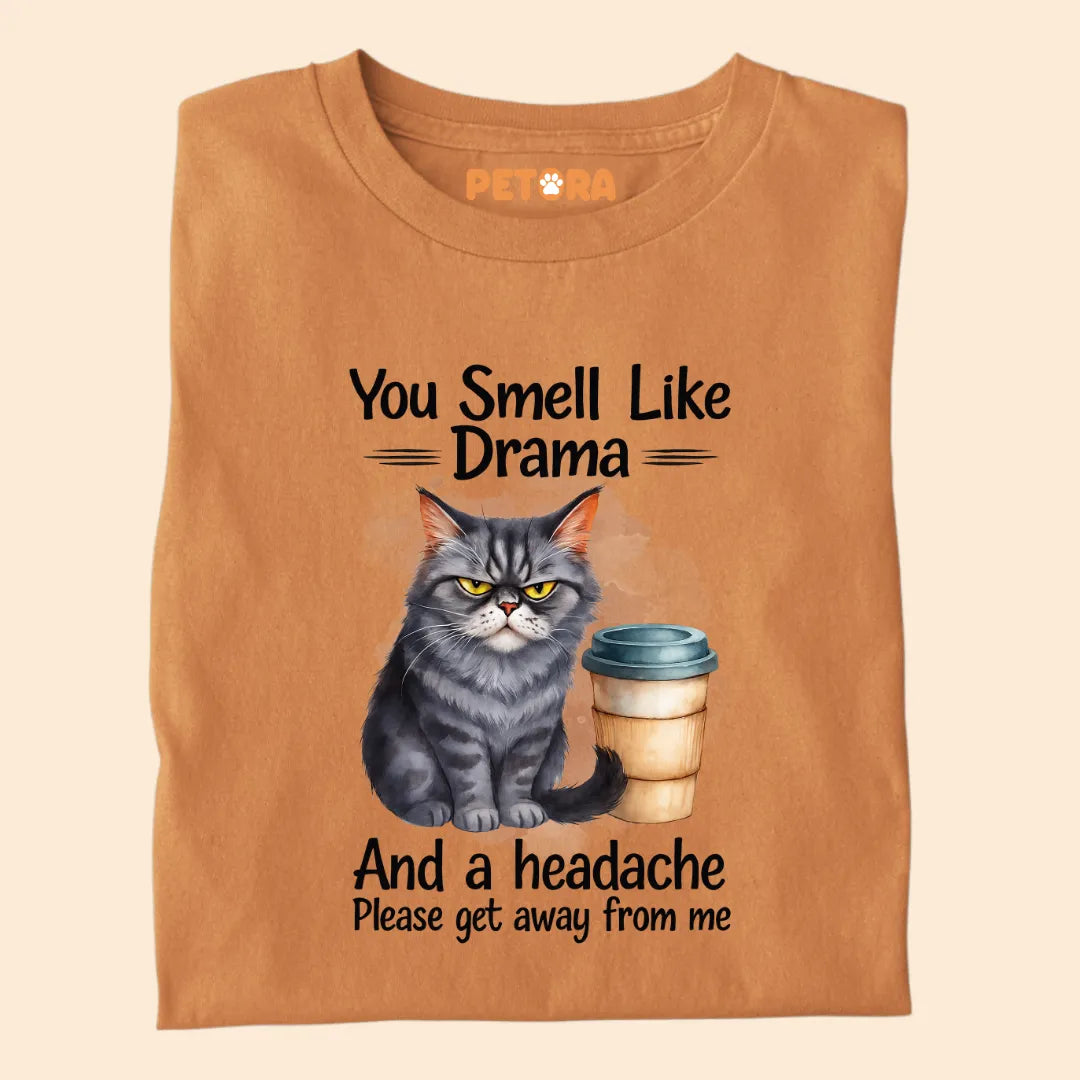 You Smell Like Drama and a Headache Premium T-shirt