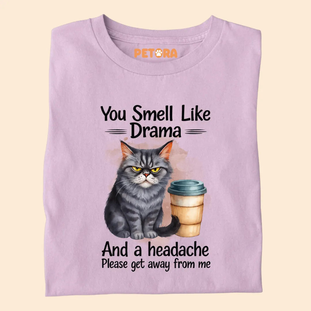 You Smell Like Drama and a Headache Premium T-shirt