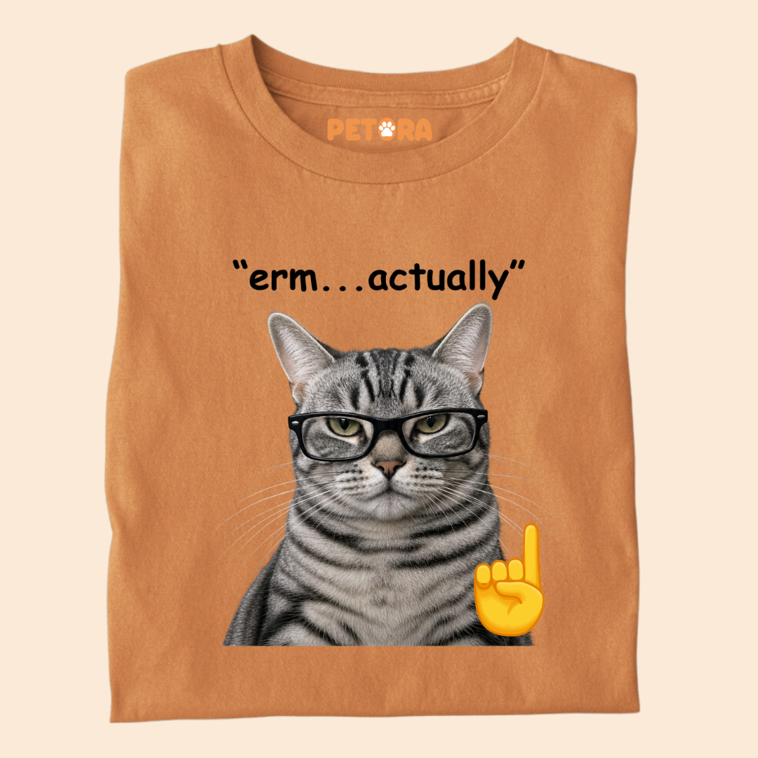 Erm Actually Funny Nerd Glasses Cat T-Shirt
