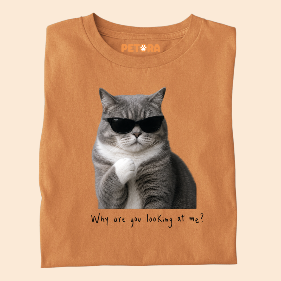 Why are you looking at me? Cat Meme T Shirt