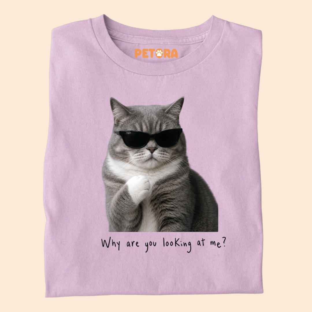 Why are you looking at me? Cat Meme T Shirt