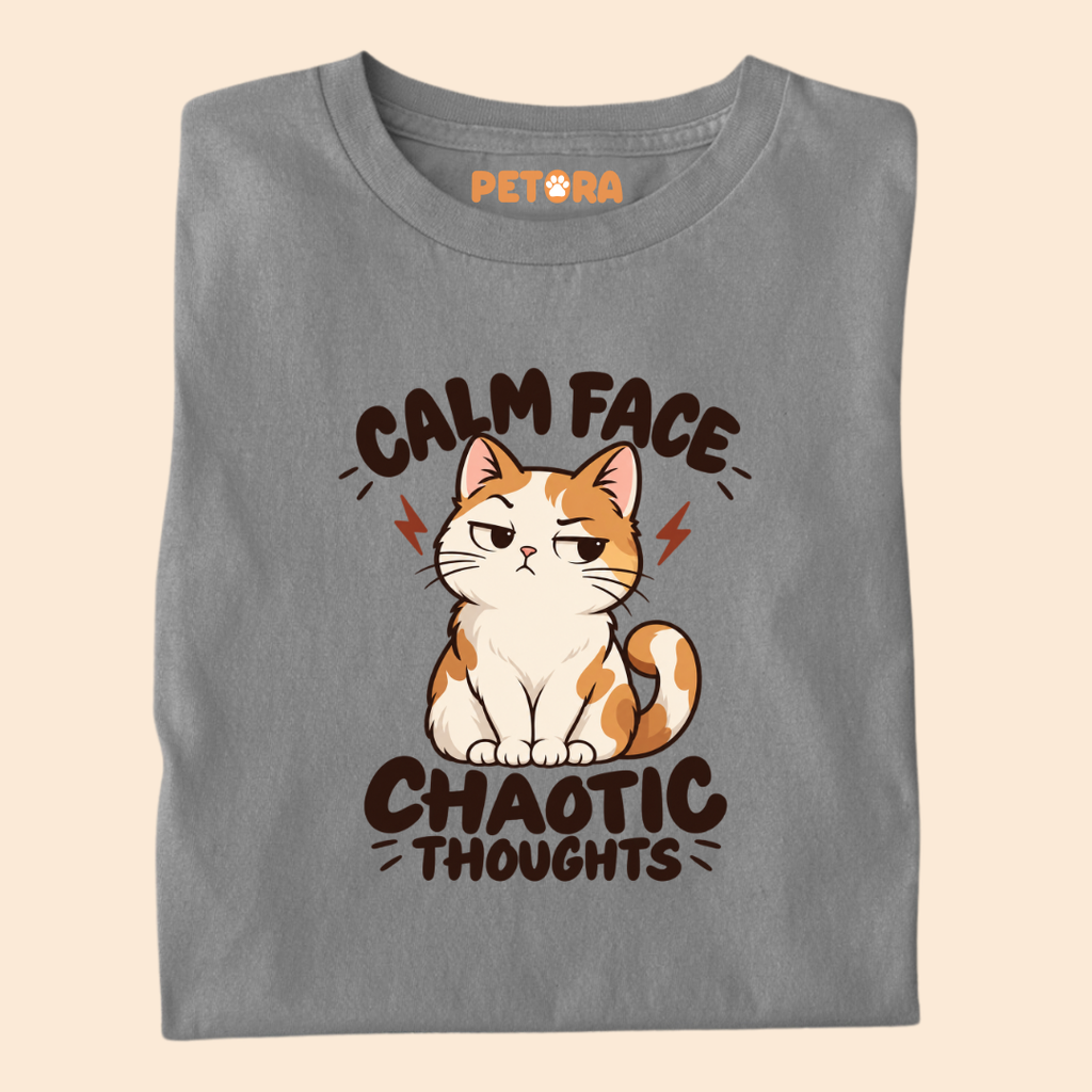 Calm Face Chaotic Thoughts Funny Cat T-Shirt