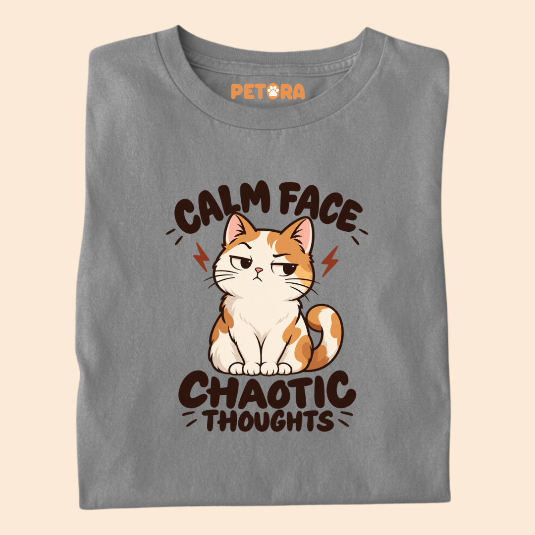 Calm Face Chaotic Thoughts Funny Cat T-Shirt