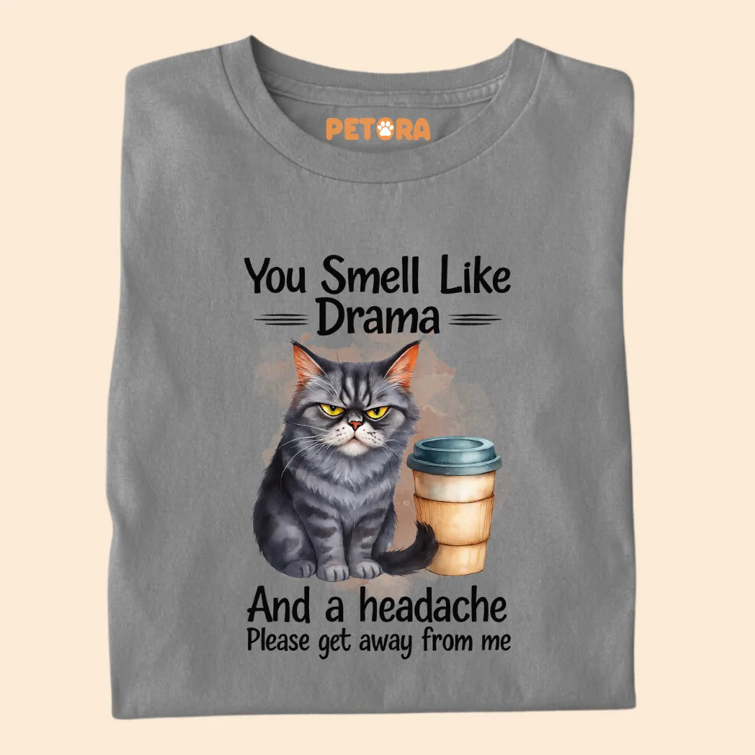You Smell Like Drama and a Headache Premium T-shirt