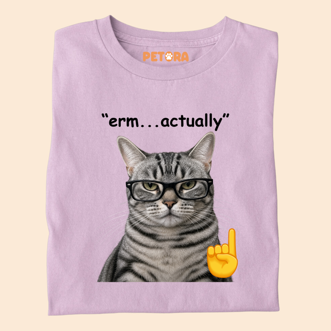 Erm Actually Funny Nerd Glasses Cat T-Shirt