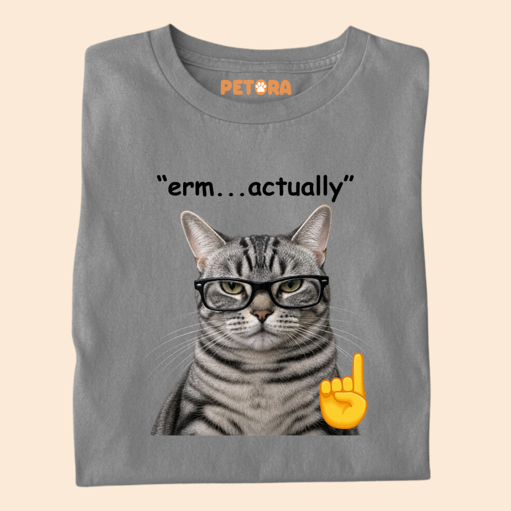 Erm Actually Funny Nerd Glasses Cat T-Shirt