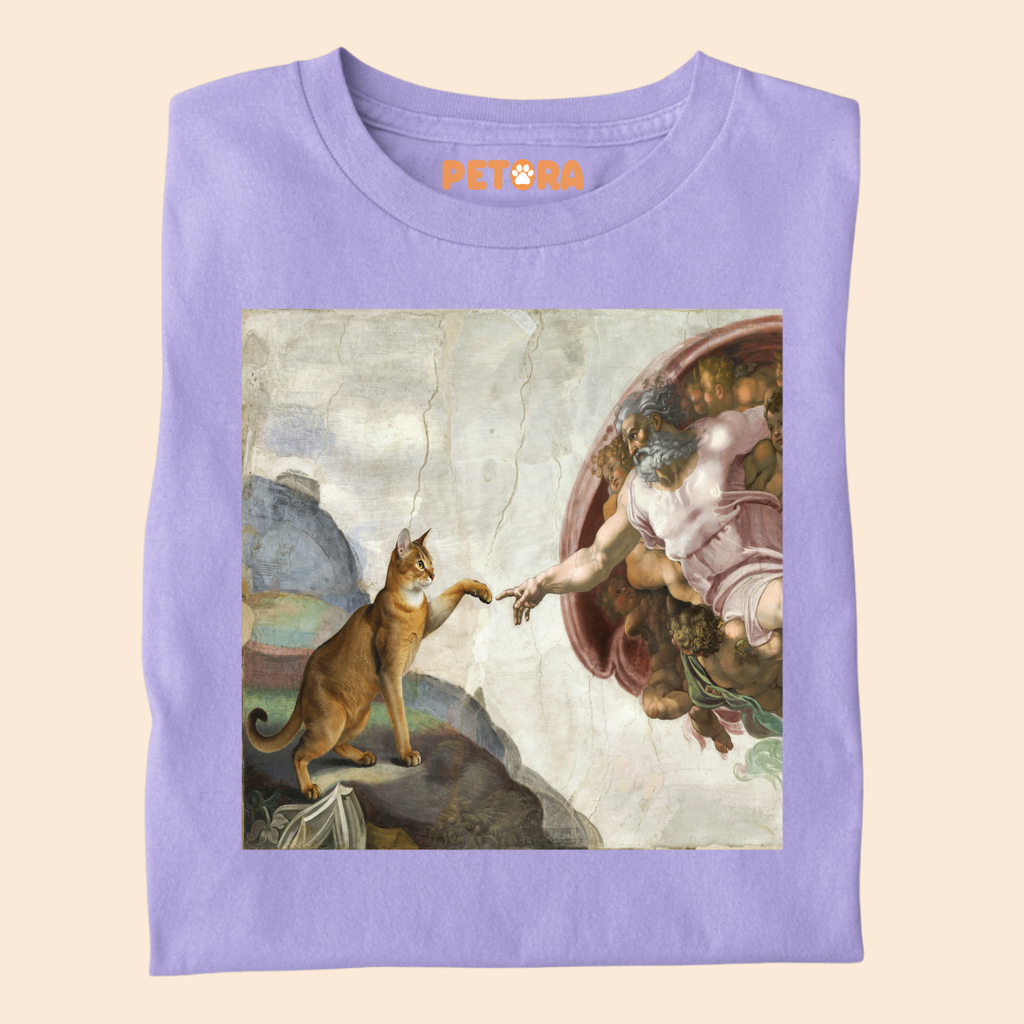 The Creation of Cat T-Shirt – Funny Renaissance Michelangelo Fine Art Parody Tee