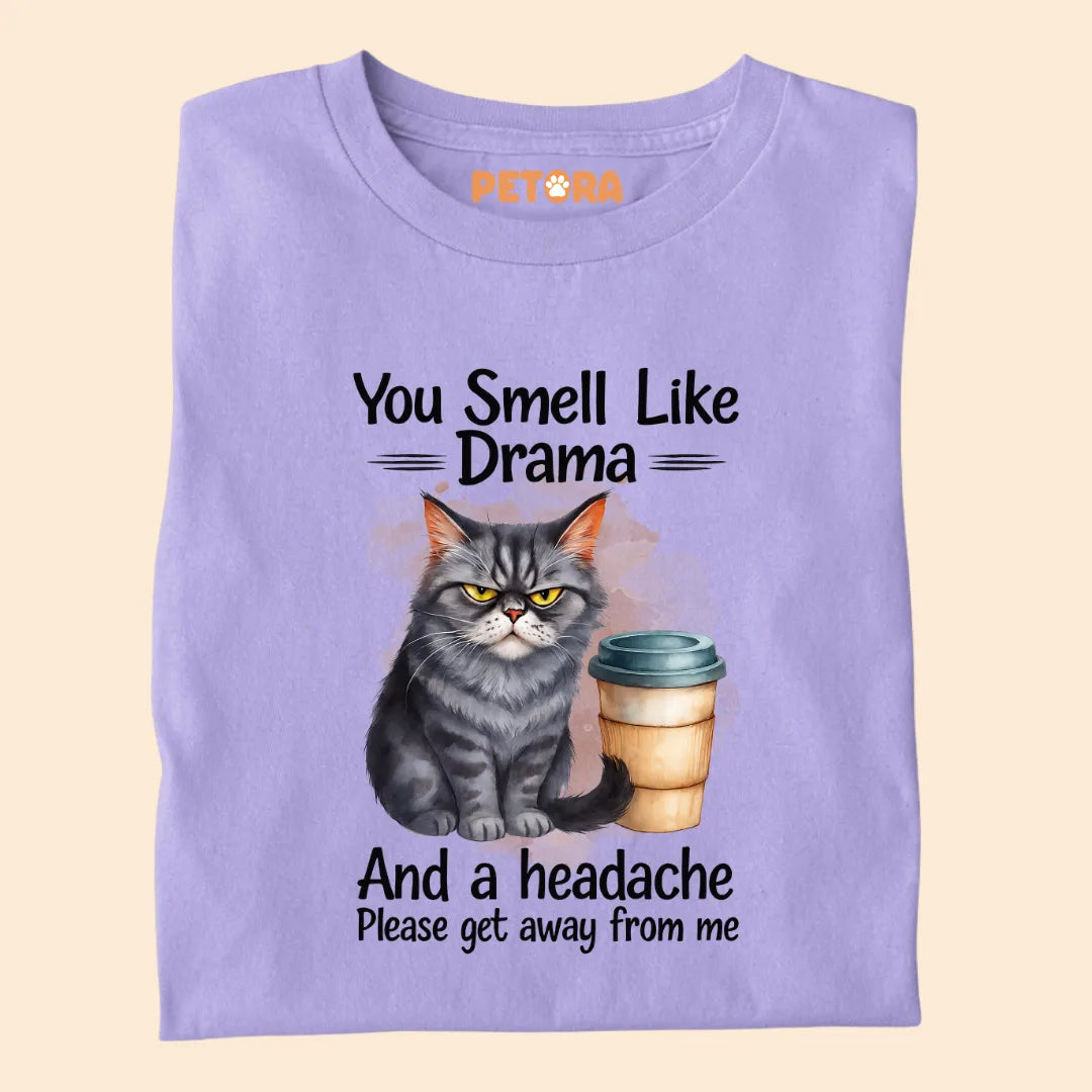 You Smell Like Drama and a Headache Premium T-shirt