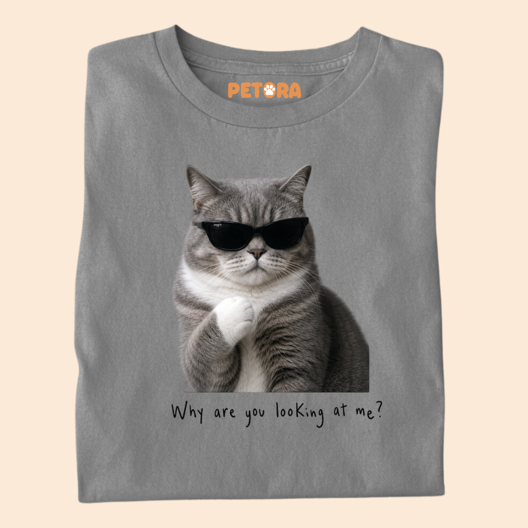 Why are you looking at me? Cat Meme T Shirt
