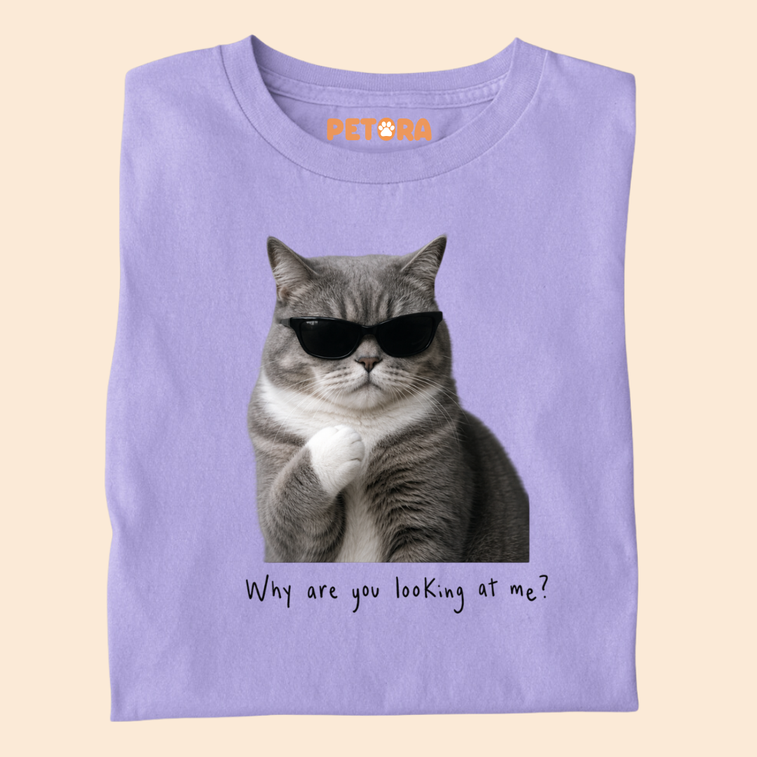 Why are you looking at me? Cat Meme T Shirt