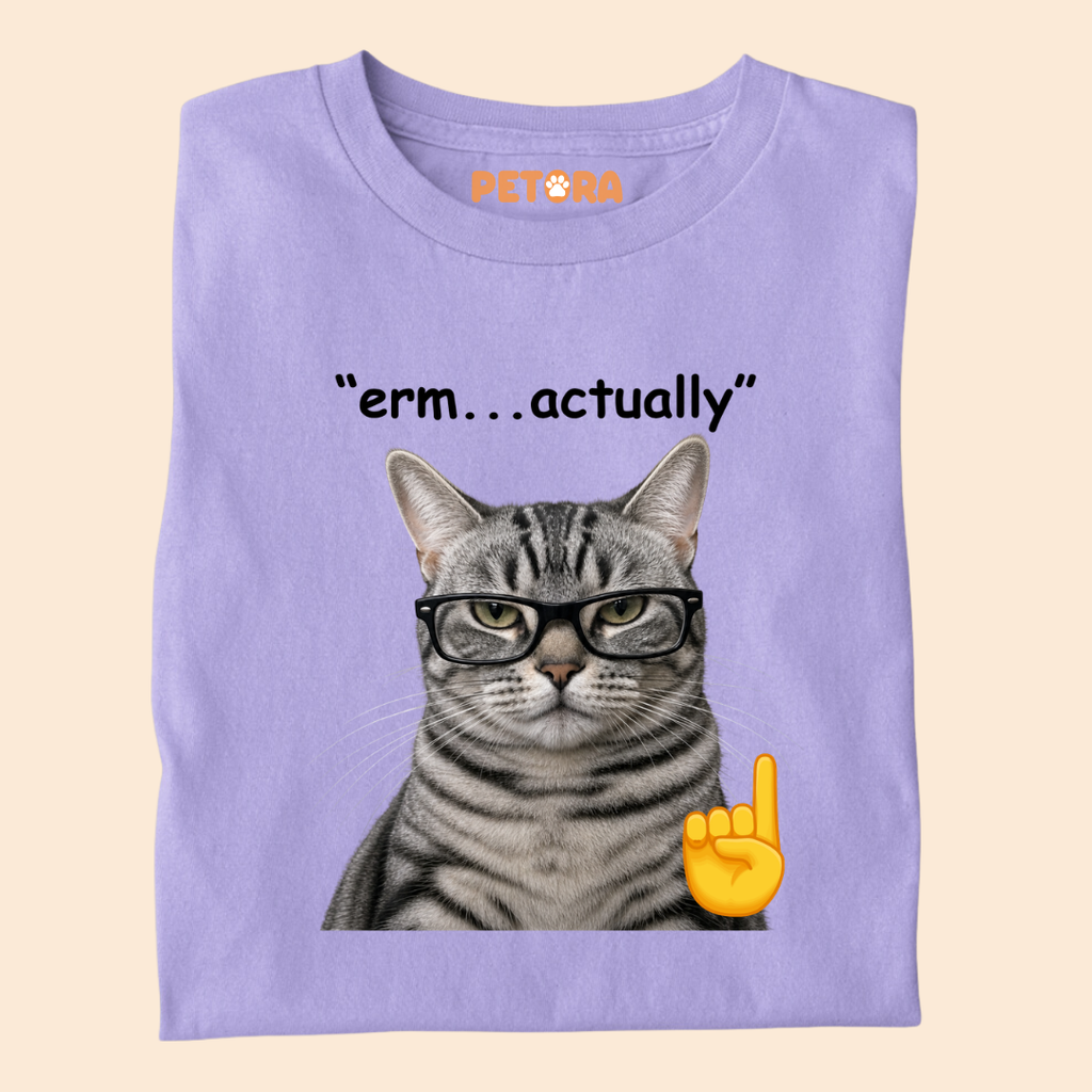 Erm Actually Funny Nerd Glasses Cat T-Shirt