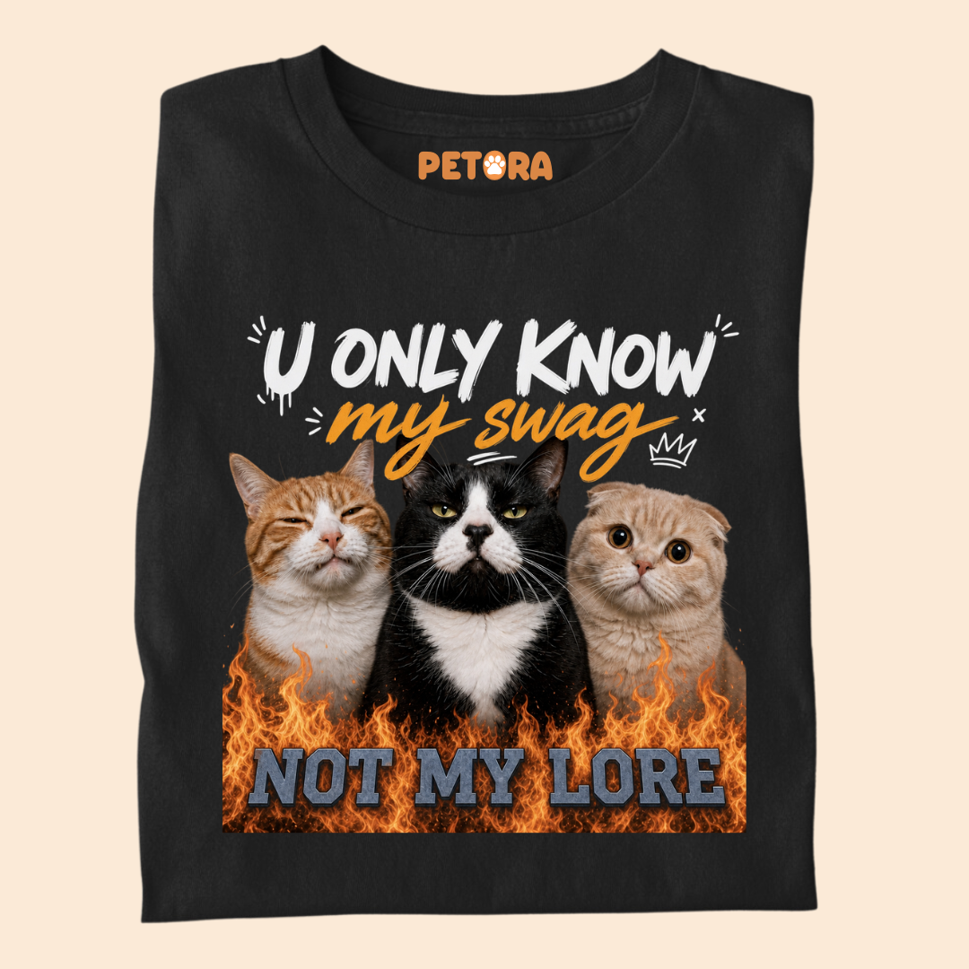 You Only Know my Swag Not my Lore Meme T Shirt
