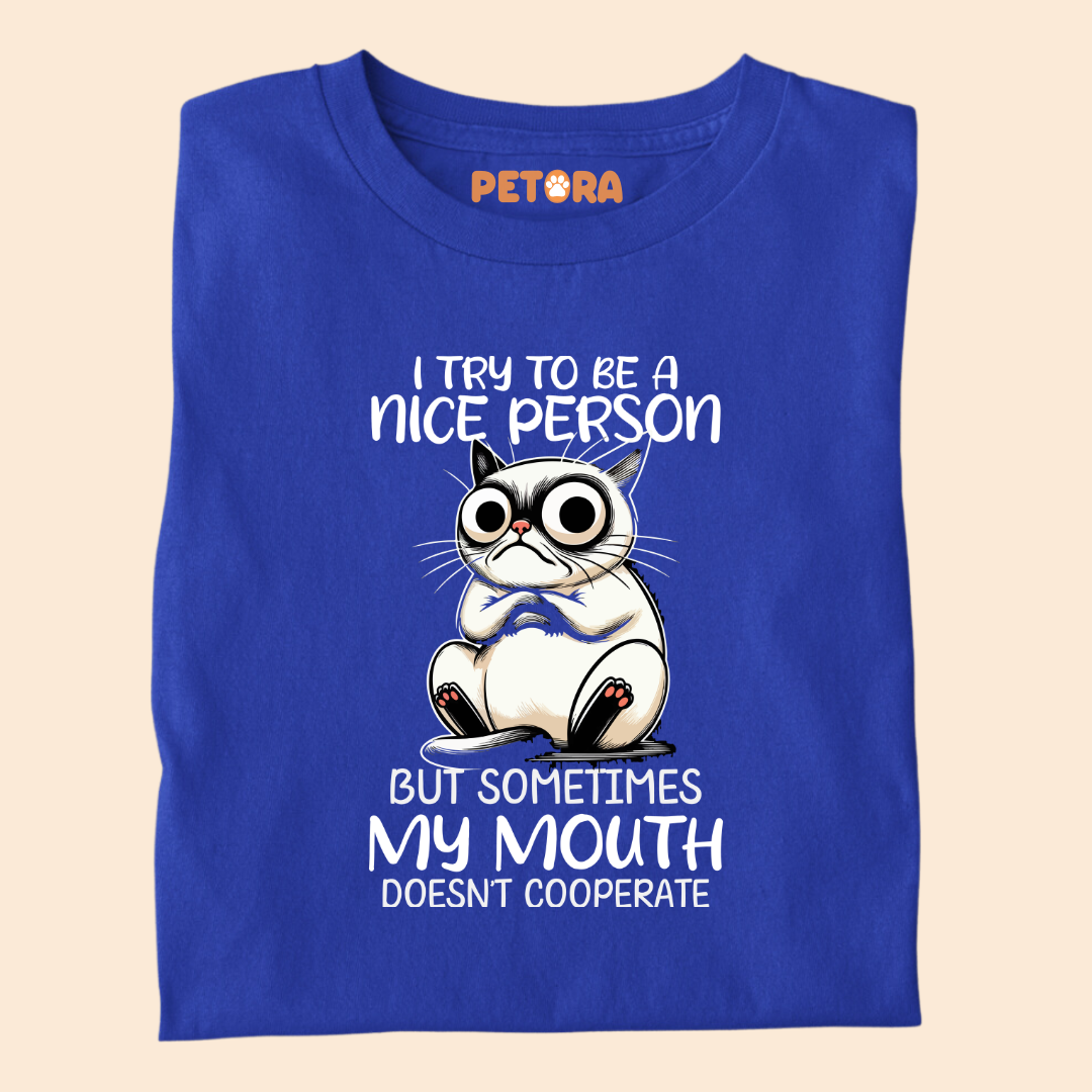 I Try to be a Nice Person Meme T Shirt