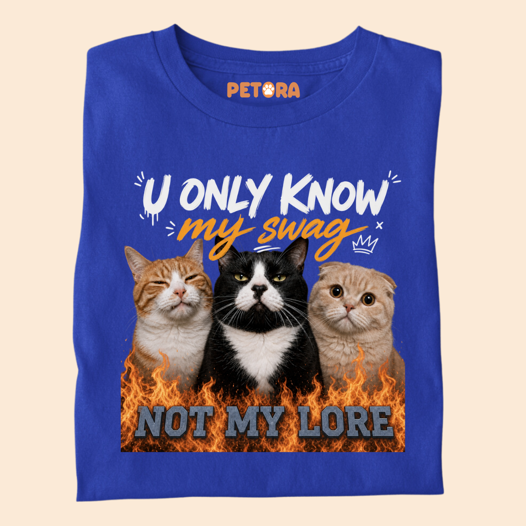 You Only Know my Swag Not my Lore Meme T Shirt
