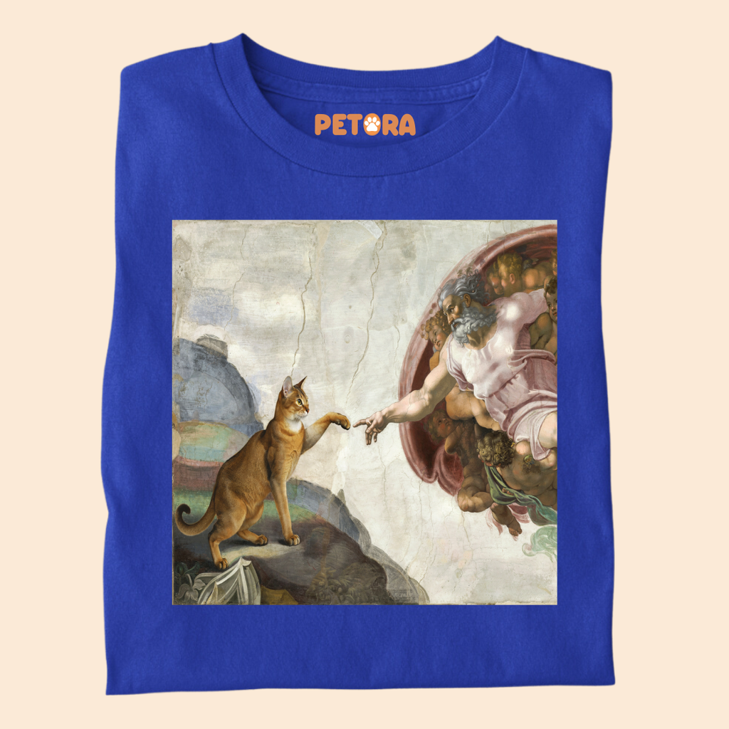 The Creation of Cat T-Shirt – Funny Renaissance Michelangelo Fine Art Parody Tee