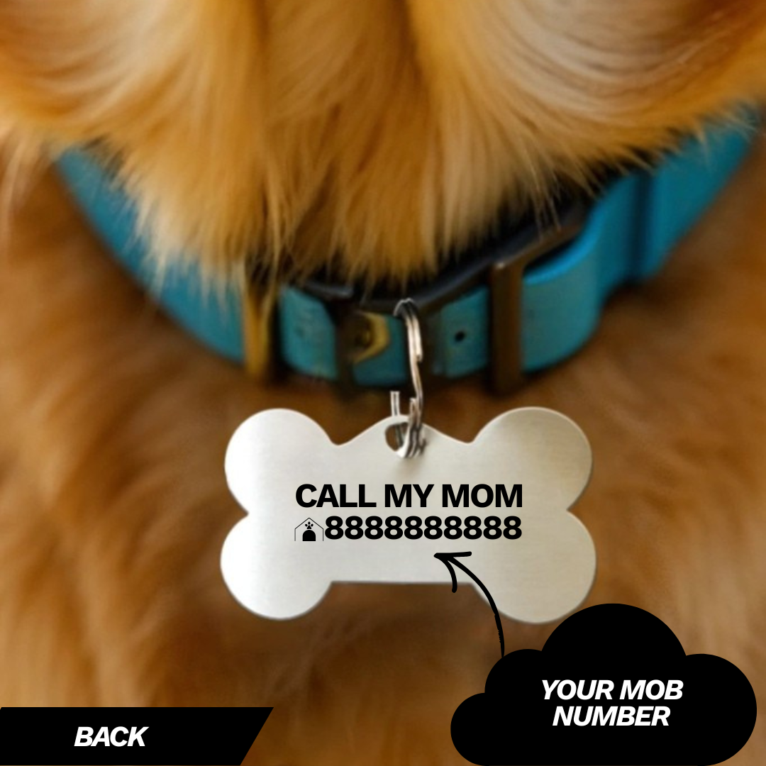 Personalised Stainless Steel Pet ID Tag